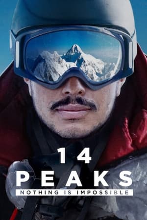 14 Peaks: Nothing Is Impossible (2021) Hindi Dual Audio 350MB HD Poster Download - Filmyzilla