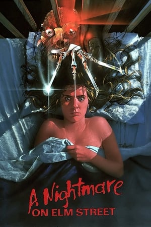 A Nightmare on Elm Street (2010) Hindi Dual Audio 300MB HD Poster Download - Filmyzilla