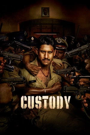 Custody 2023 Hindi Dual Audio HD Poster Download - Filmyzilla