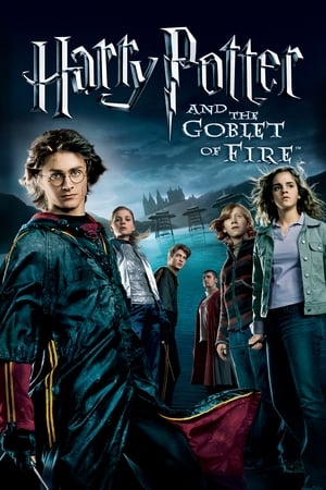 Fire & Ice (2008) Hindi Dual Audio 300MB HD Poster Download - Filmyzilla