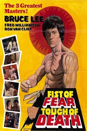 Fist of Fear Touch of Death 1980 Hindi Dual Audio [1GB] HD Poster Download - Filmyzilla