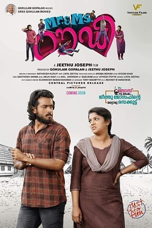 Rowdy 2019 Hindi Dubbed 300MB HD Poster Download - Filmyzilla