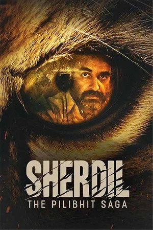 Sherdil: The Pilibhit Saga 2022 Hindi Dual Audio HD Poster Download - Filmyzilla