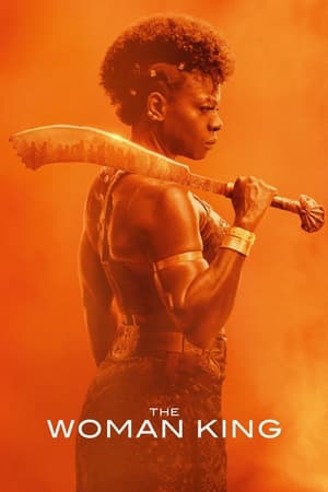 The Woman King 2022 Hindi (Cleaned) Dual Audio – HD Poster Download - Filmyzilla