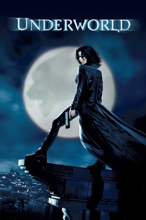 Underworld (2003) 100mb Hindi Dual Audio movie Download HD Poster Download - Filmyzilla